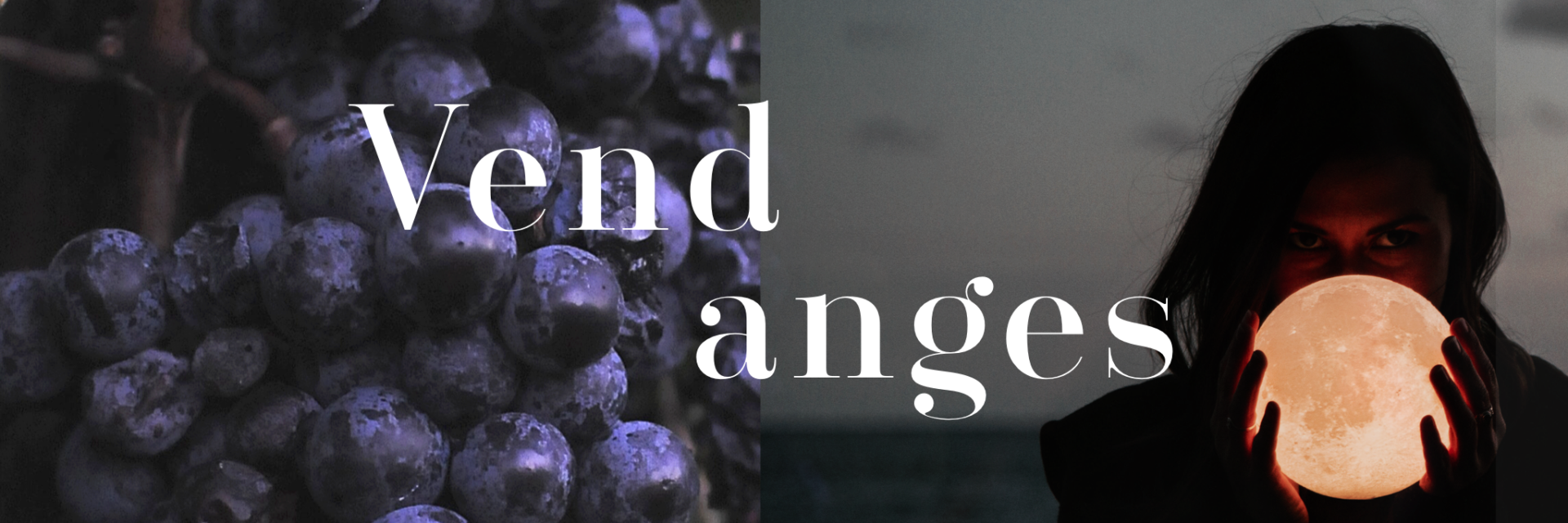 blog_vendanges_mgfr2